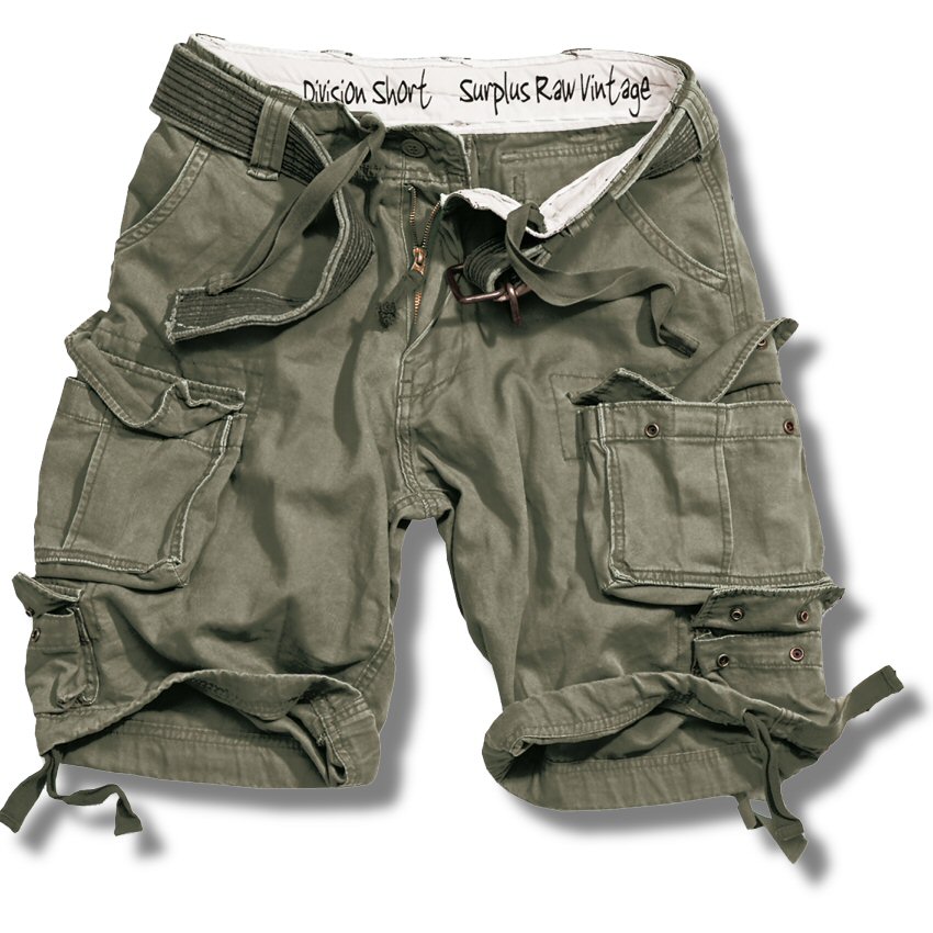Herren Shorts Surplus Raw Vintage Division Herren Cargo Shorts dskgroup